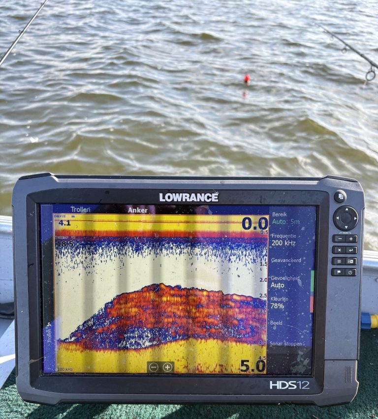 Aasvis op trek snoek vinden in september en oktober