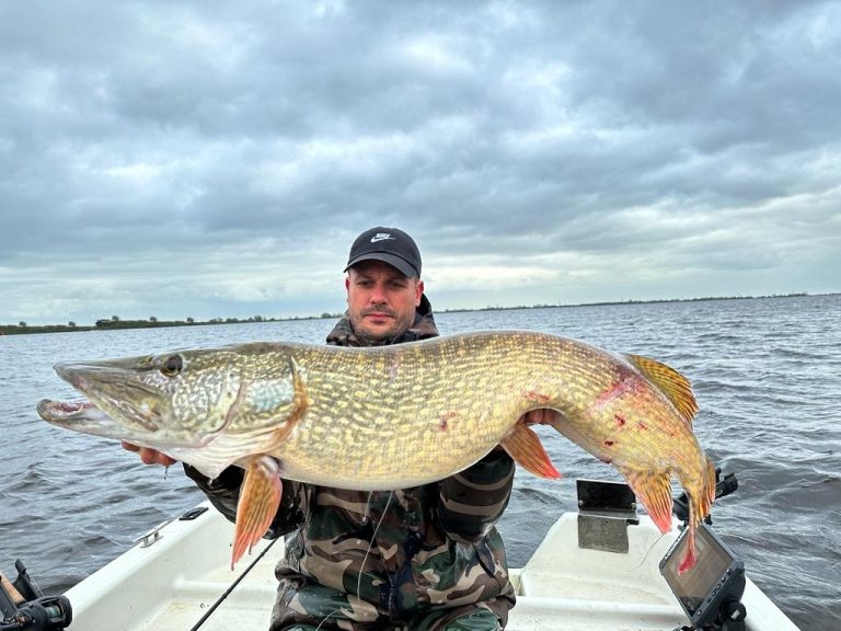 Beschadigingen op de snoek
