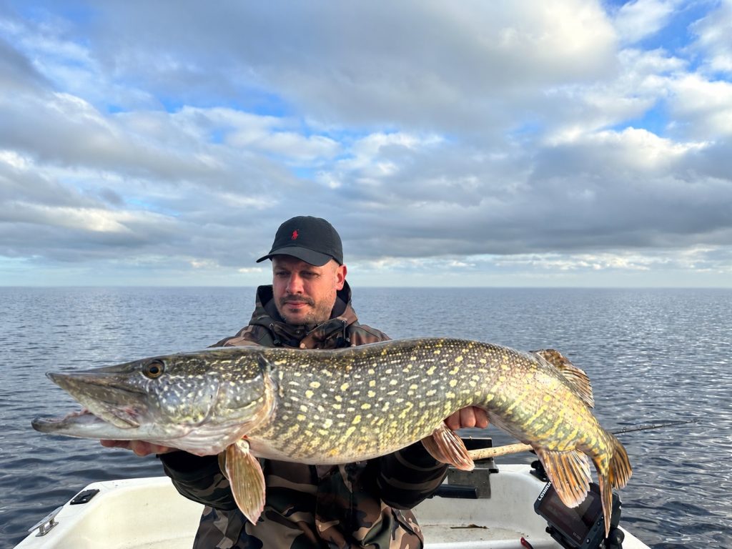 Grote snoek in september en oktober