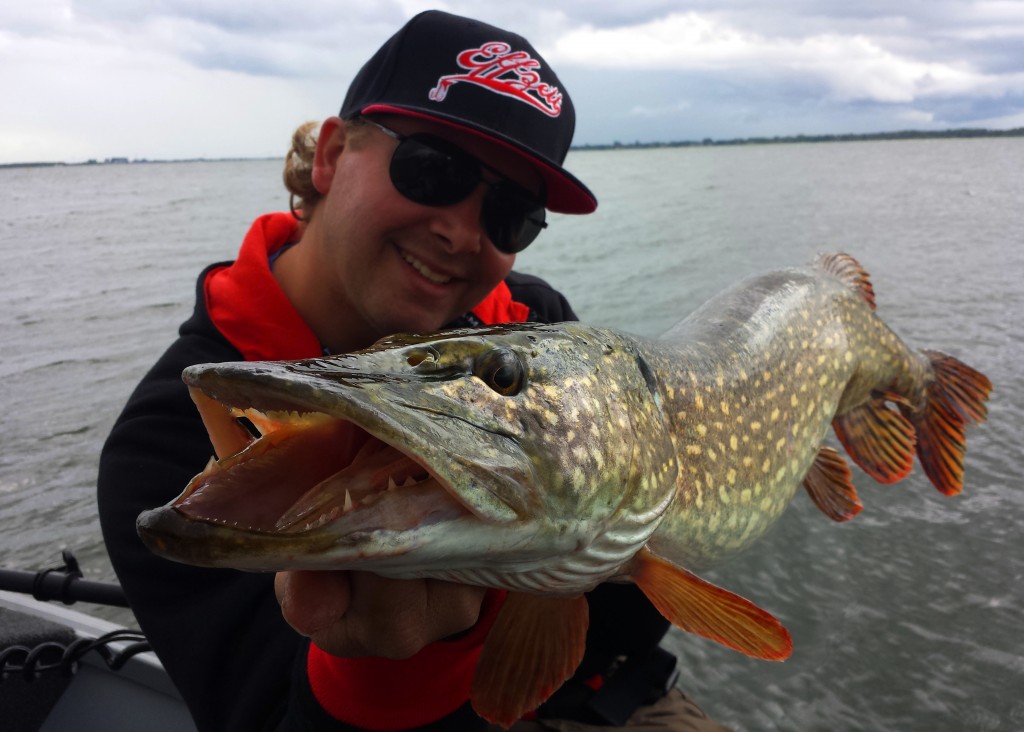 tuinieren met softbaits