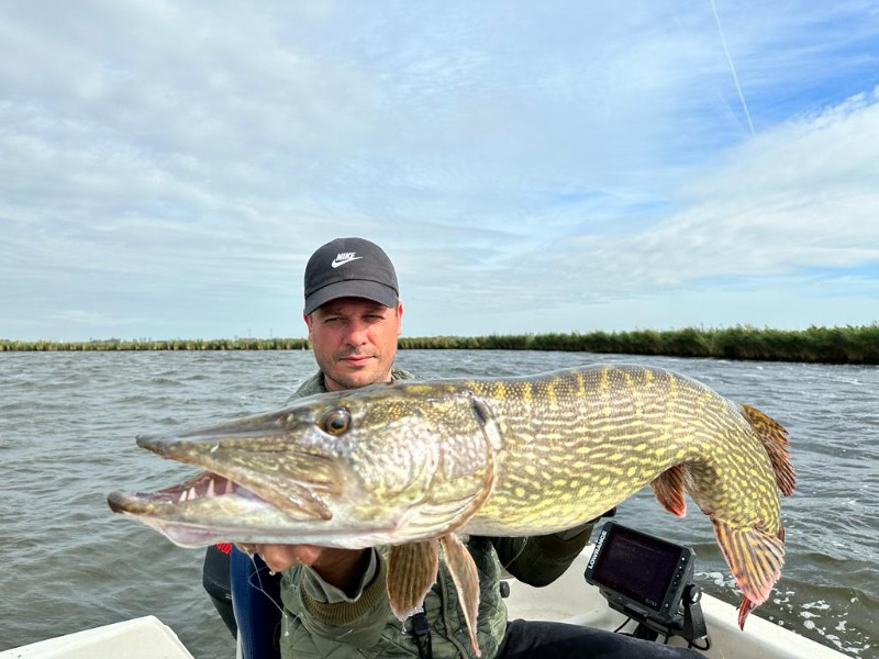 Snoek gevangen met dood aas – kleinmateriaal bij Doodaas.nl