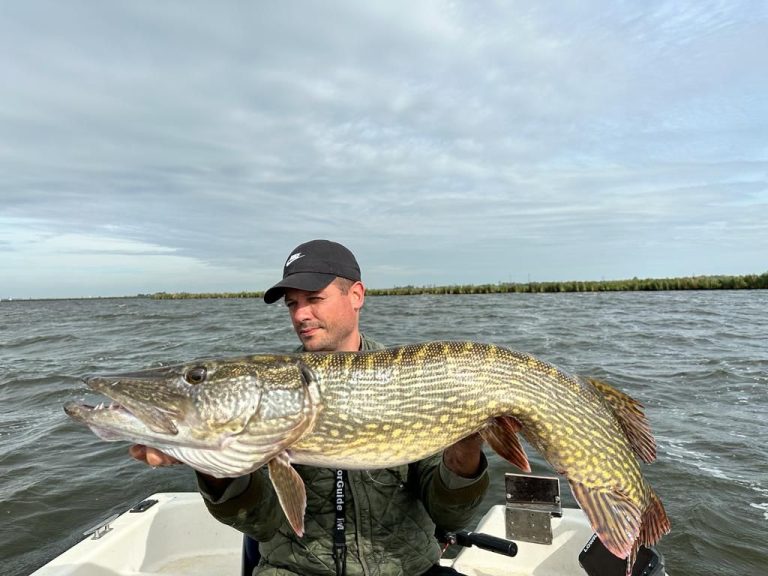 Lichaamskleur en patronen snoek
