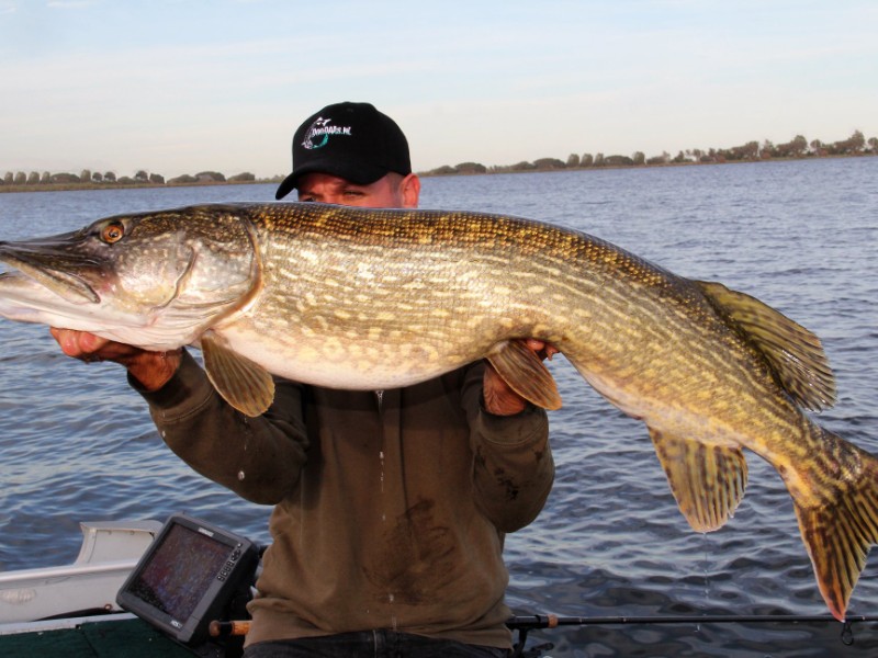 Snoek gevangen met dood aas – tangen en gereedschap bij Doodaas.nl